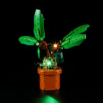 3_6e3b8d03-918c-47f2-bb14-6b545e908b7d_1100x