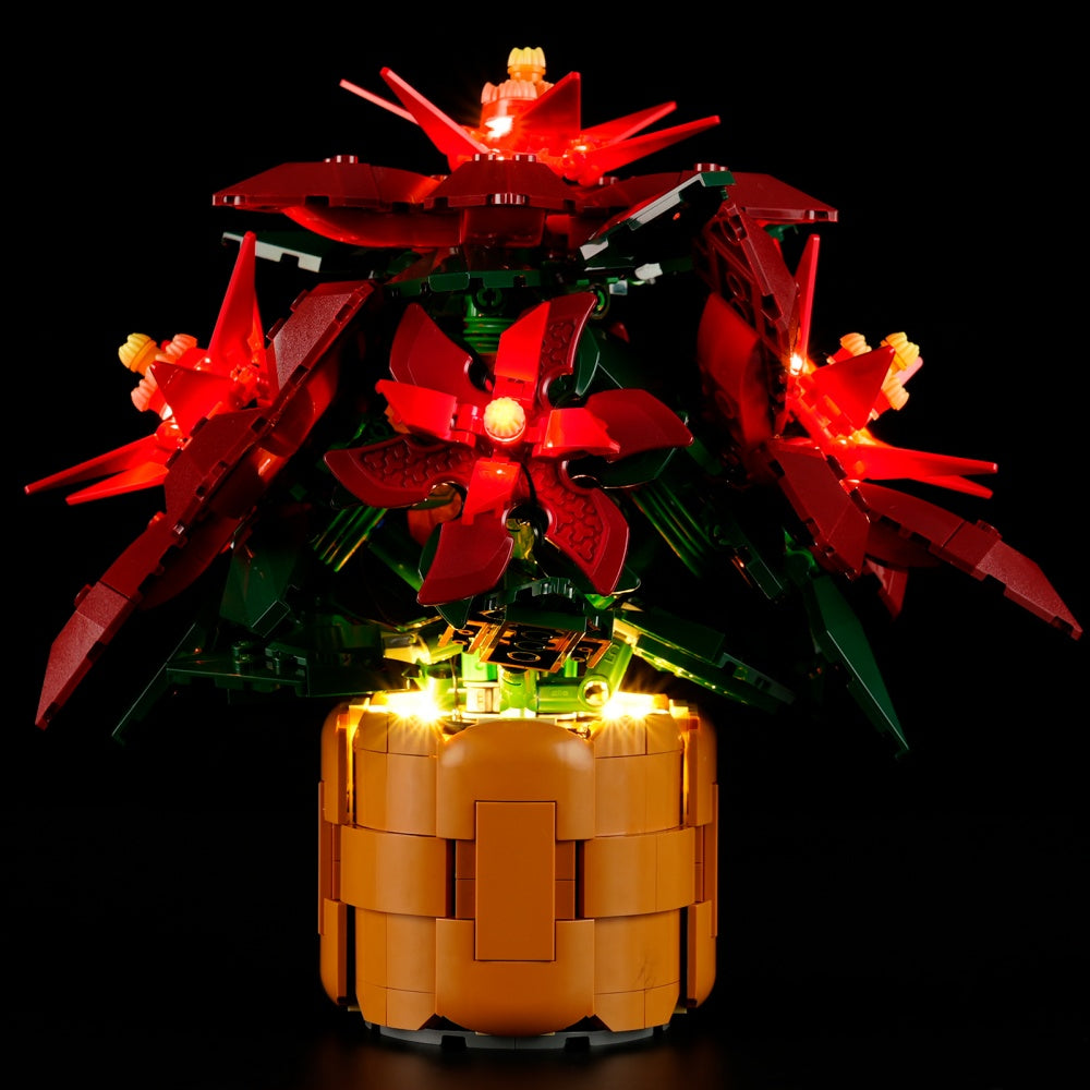 1_a93238c2-8570-4beb-8540-ee463f05ba9f_1000x